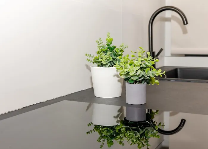 Apartamento Novalar Star N91 *